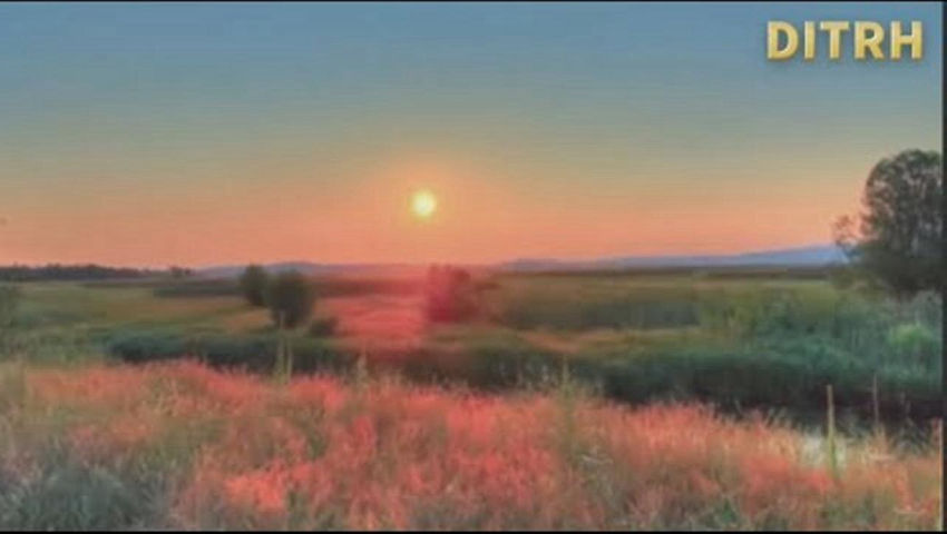 DITRH - Deep Inside The Rabbit Hole