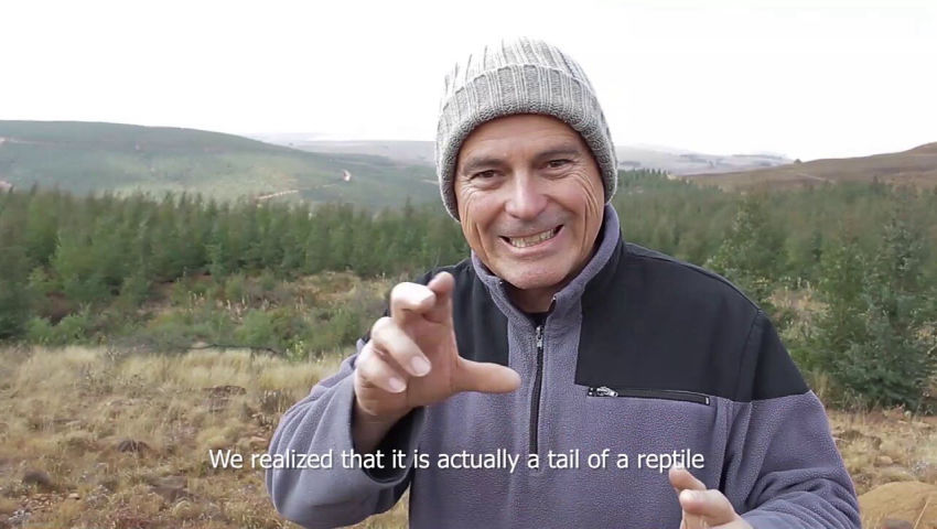 Flat Earth Sun, Moon & Zodiac Clock